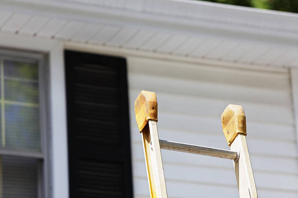 Best Siding Painting and Refinishing  in Lake Elsinore, CA